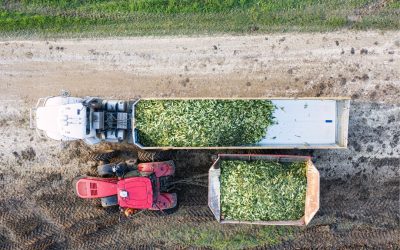 Best Trailers for Farming and Agricultural Use in Kenya: A Comprehensive Guide